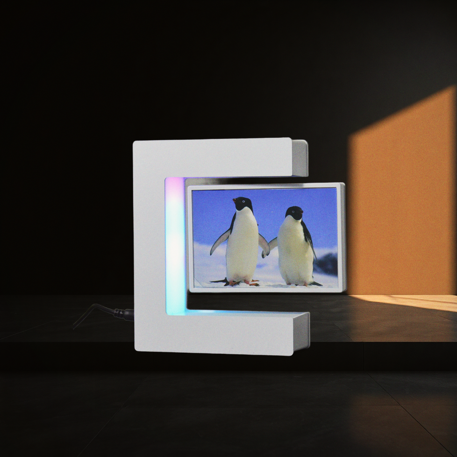 Stillward levitation photo frame, photo facing you